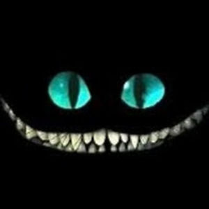 anhonestmerchant avatar