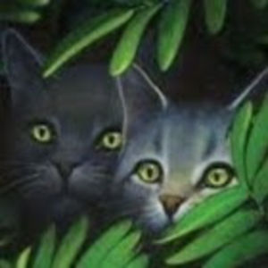 grifondorravenclaw avatar