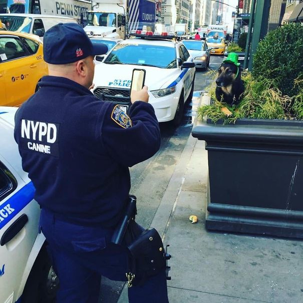 NYPD Officer And Dog Enjoying St. Patrick's Day