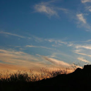 theordinaryone avatar