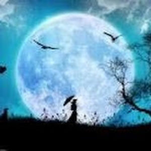 moonlightray avatar