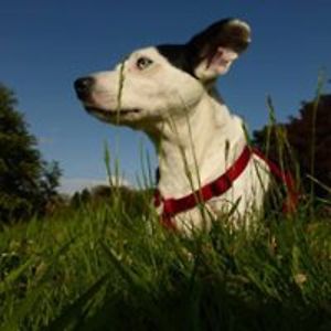 serenissima_09 avatar