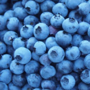 cultoblueberries avatar