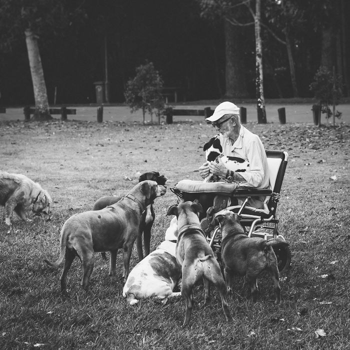 This Old Man Visits My Local Dog Park Every Day. He's The Most Popular Human There