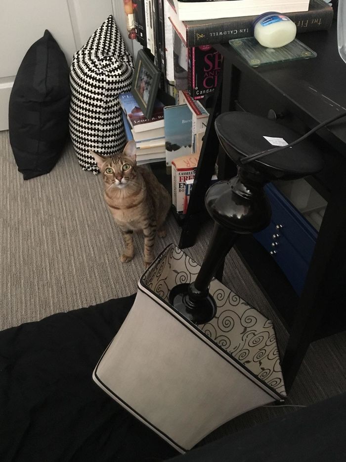 Good Morning! Breakfast Now?