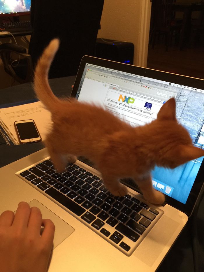 He Does This Way Too Much