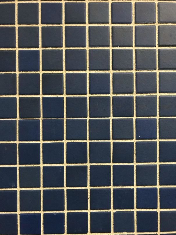 My School’s Bathroom Tile Does The Black Dot Illusion