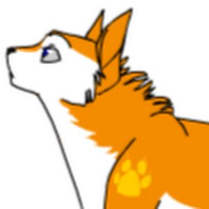 elizabethlloyd avatar