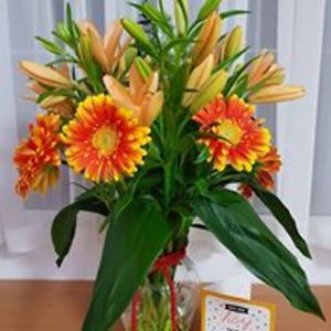 suedavisplaya avatar