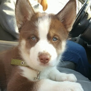 michellehawkins_1 avatar