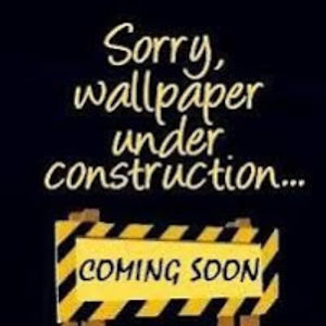 sydneebickford avatar