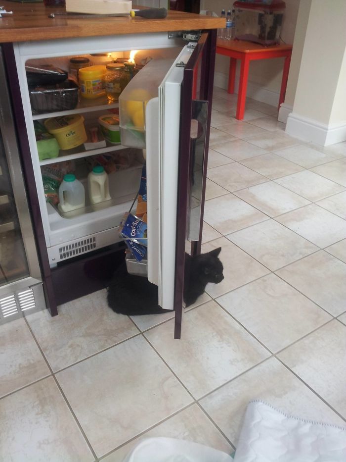 This Idiot Decided That This Was A Great Place To Sit