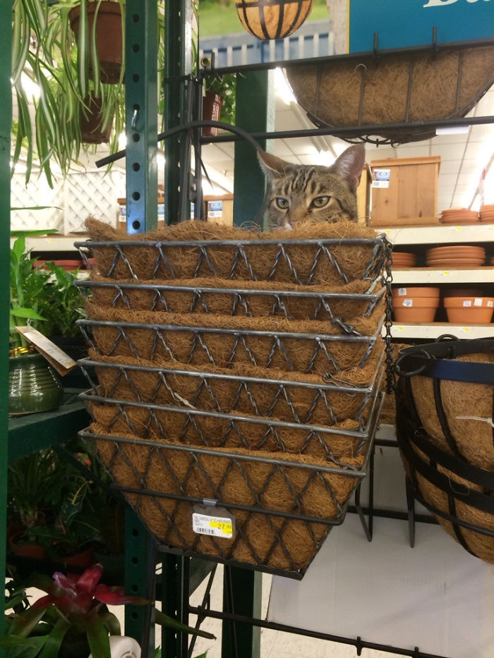 Got Attacked By Something, Turned Around And Saw This