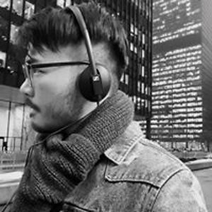 vivaldisconcerto avatar