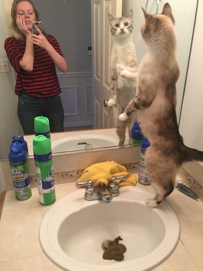 Roommate Had A Bad Morning