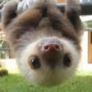 larkinelliottstudent avatar