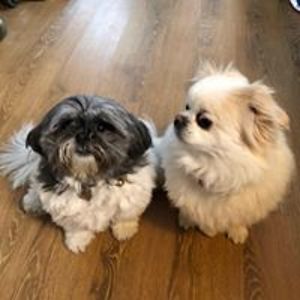 bobbi_gale-miller avatar