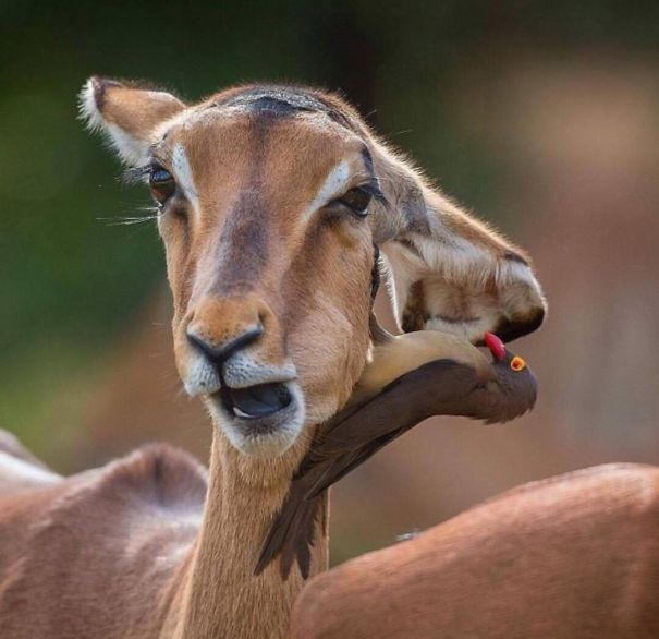 It Took Me About 20 Seconds Of Trying To Figure Out What Was Happening