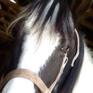 barbara_kistler_8017 avatar