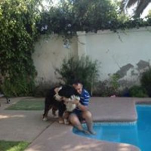 pablocabezasvilaro avatar