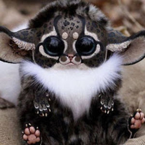 junedominguez avatar