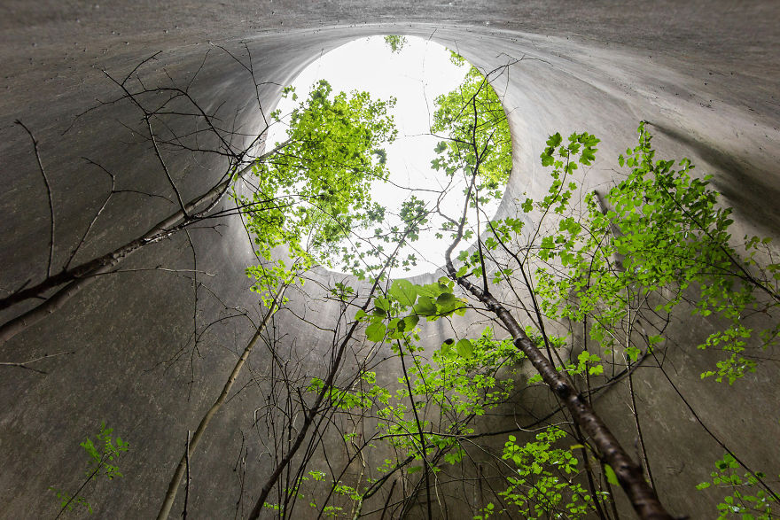 I Travel The World To Capture Amazing Pictures Of Nature Taking Back Abandoned Places