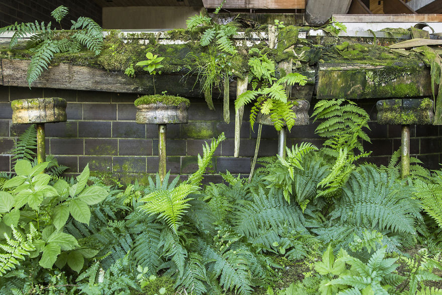 I Travel The World To Capture Amazing Pictures Of Nature Taking Back Abandoned Places