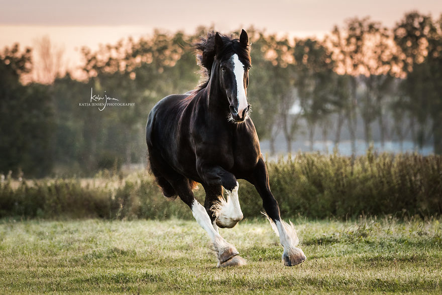 Bringing My Childhood Dreams To Life