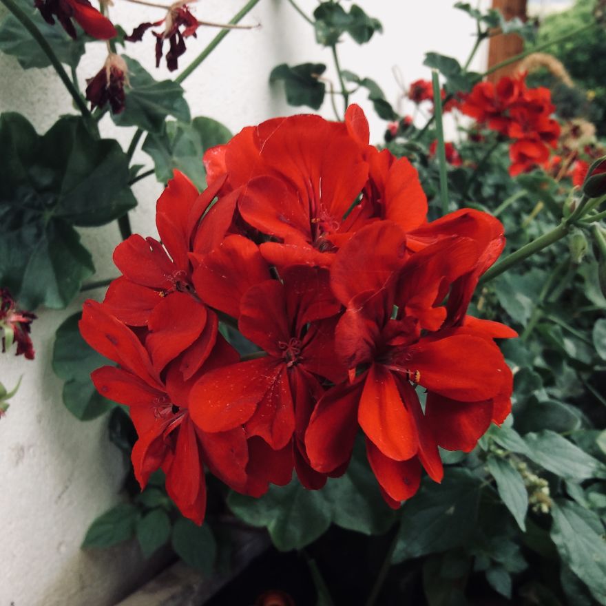 I Went To Sicily And Took Some Photos