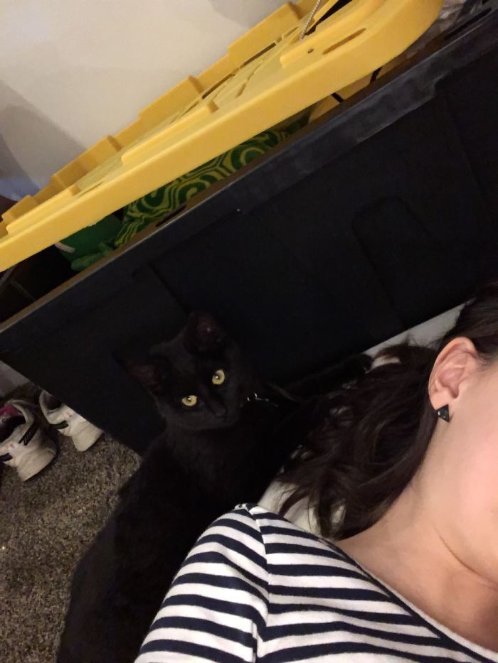 Was Reading In The Basement When Kitty Comes Along..... Starts Licking My Hair. Was Mated For A Few Days...