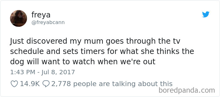 Gotta Entertain Your Dog