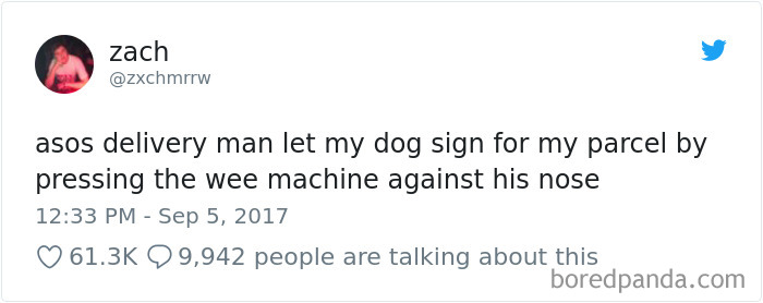 Amazing Customer Service