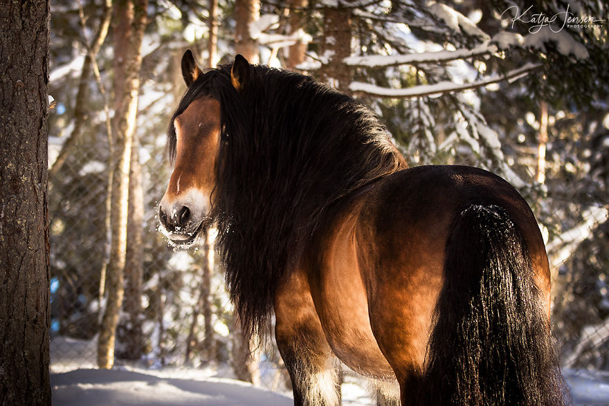 Bringing My Childhood Dreams To Life