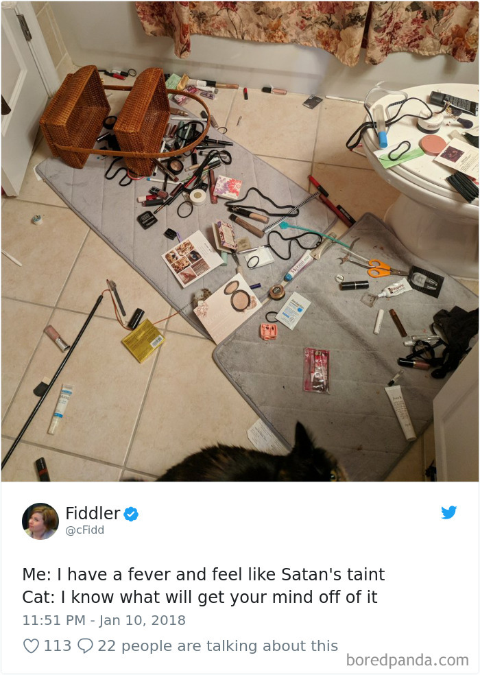 Cat Knows What You Need