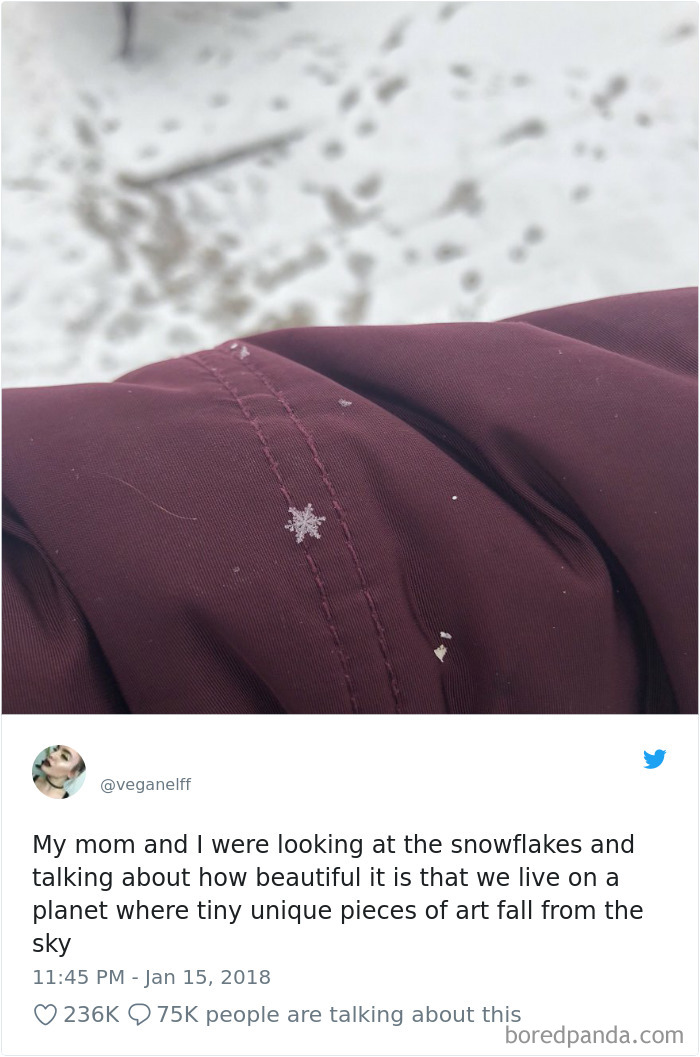 It's A Beautiful Planet