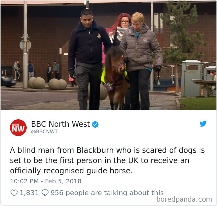 A Different Kind Of Best Friend