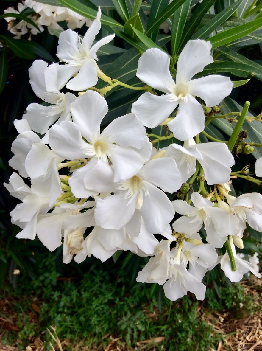 I Went To Sicily And Took Some Photos