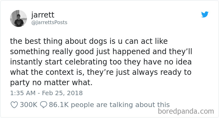 We Don't Deserve Dogs