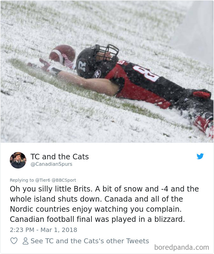 Snow-Uk-Panic-Twitter-Reactions