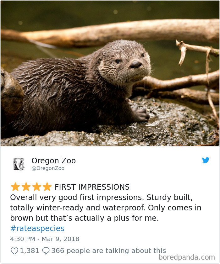 Amazon Animal Review