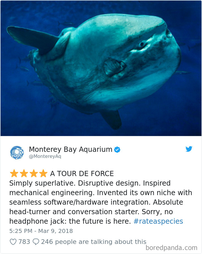 Amazon Animal Review