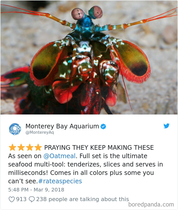 Amazon Animal Review