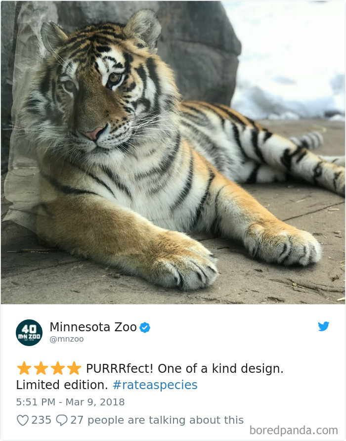 Amazon Animal Review