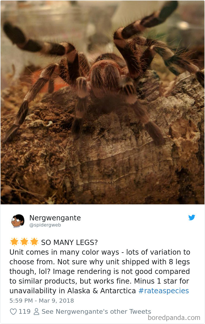 Amazon Animal Review