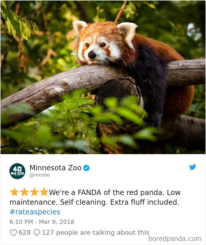 Amazon Animal Review