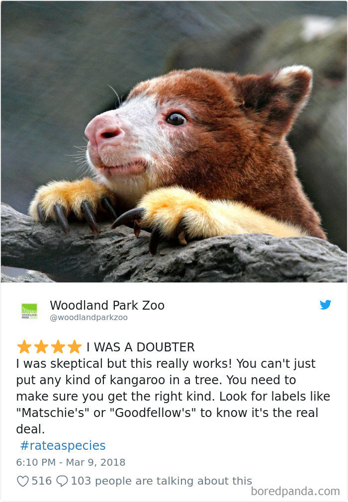 Amazon Animal Review