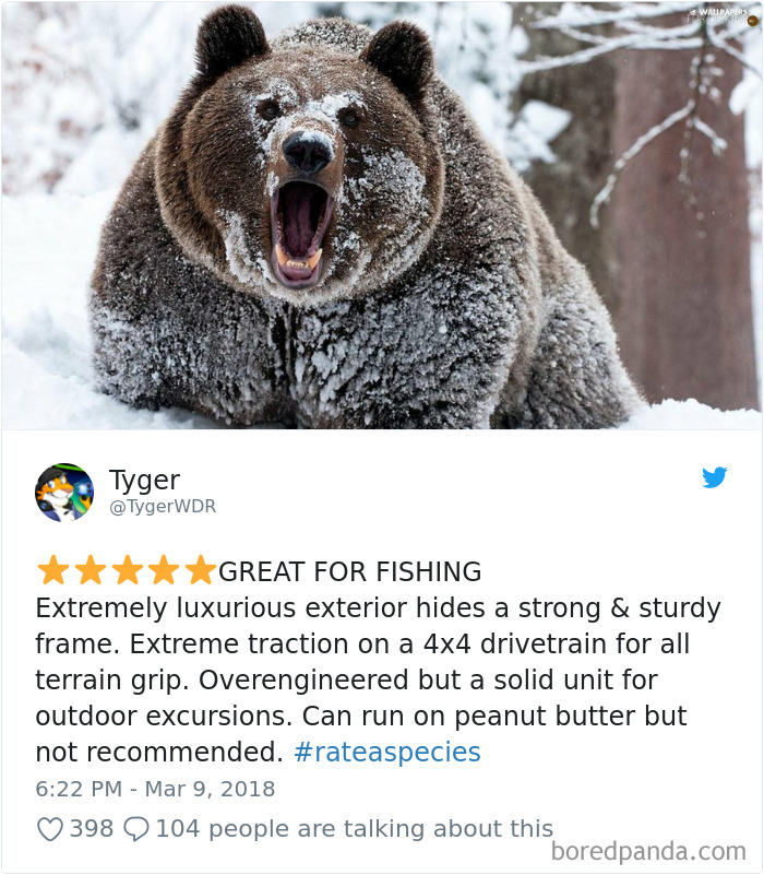 Amazon Animal Review