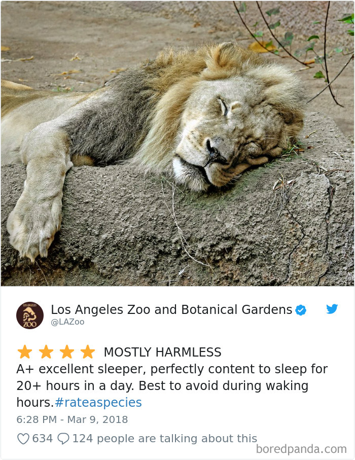 Amazon Animal Review