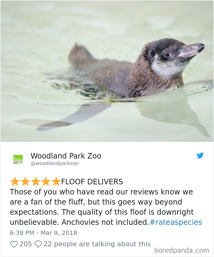 Amazon Animal Review