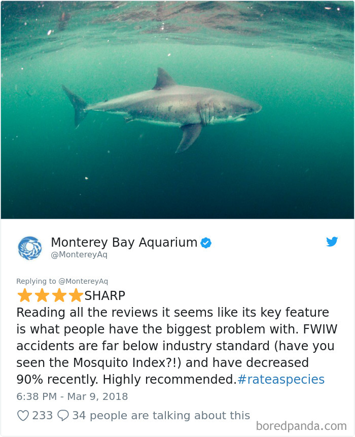 Amazon Animal Review